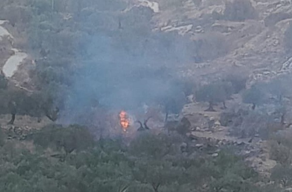 صورة أرشيفية