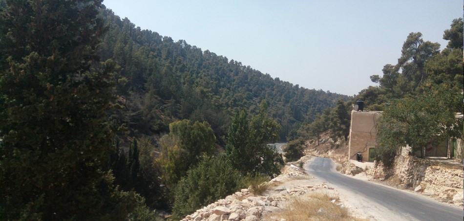 صورة أرشيفية