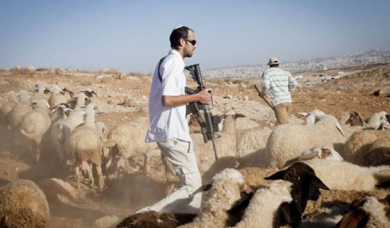 صورة أرشيفية