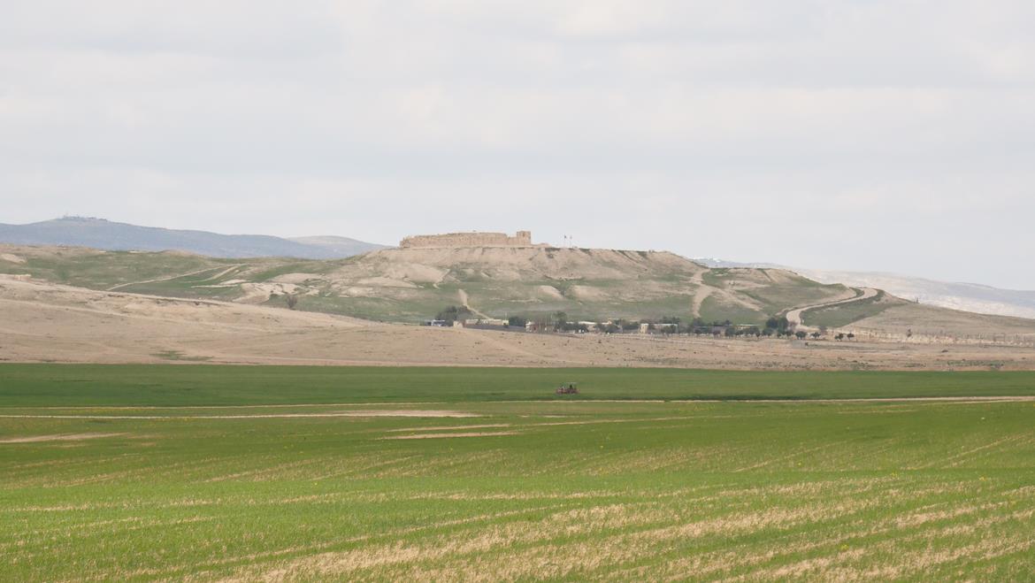 أراض صادقت الحكومة الإسرائيلية لإقامة مستوطنة مخصصة لليهود المتدينين عليها في النقب (تصوير: وفا)