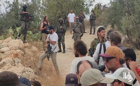 ستعمرون يهاجمون المواطنين والمتطوعين خلال قطفهم ثمار الزيتون في خربة سوبا غرب الخليل