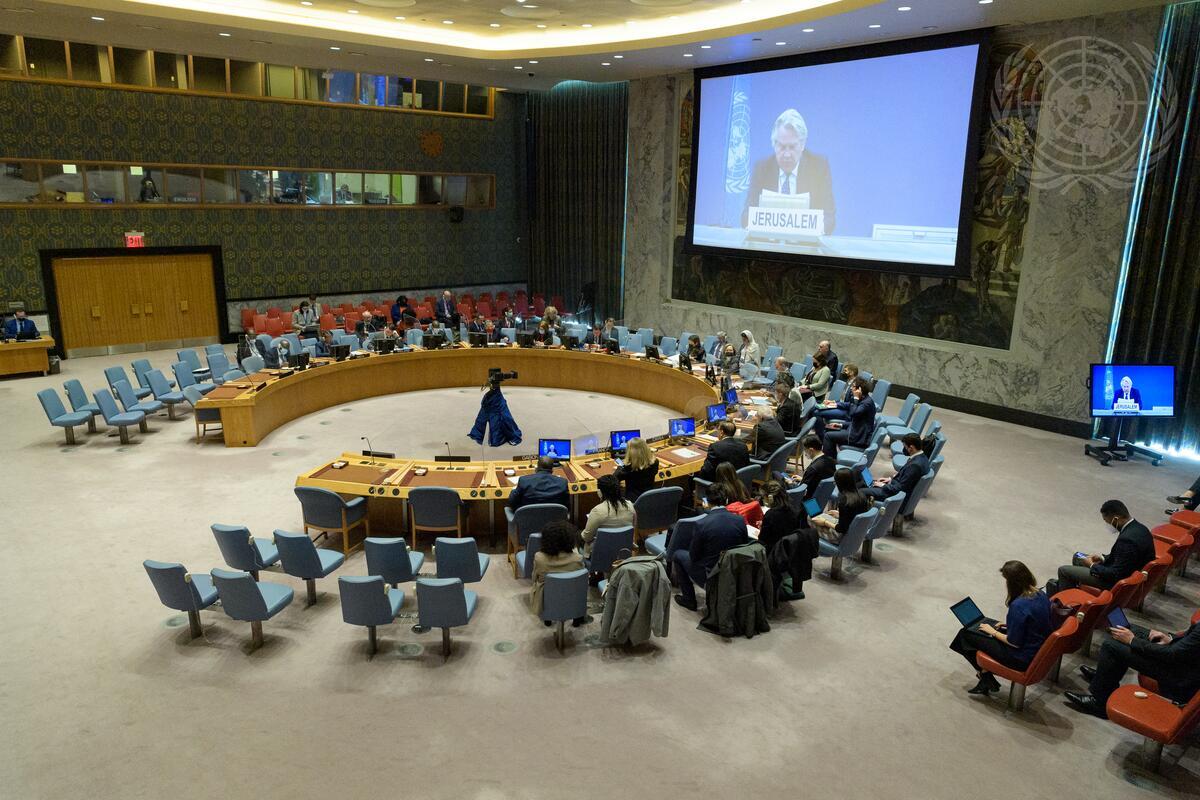 جانب من الجلسة-(صورة من الأمم المتحدة)