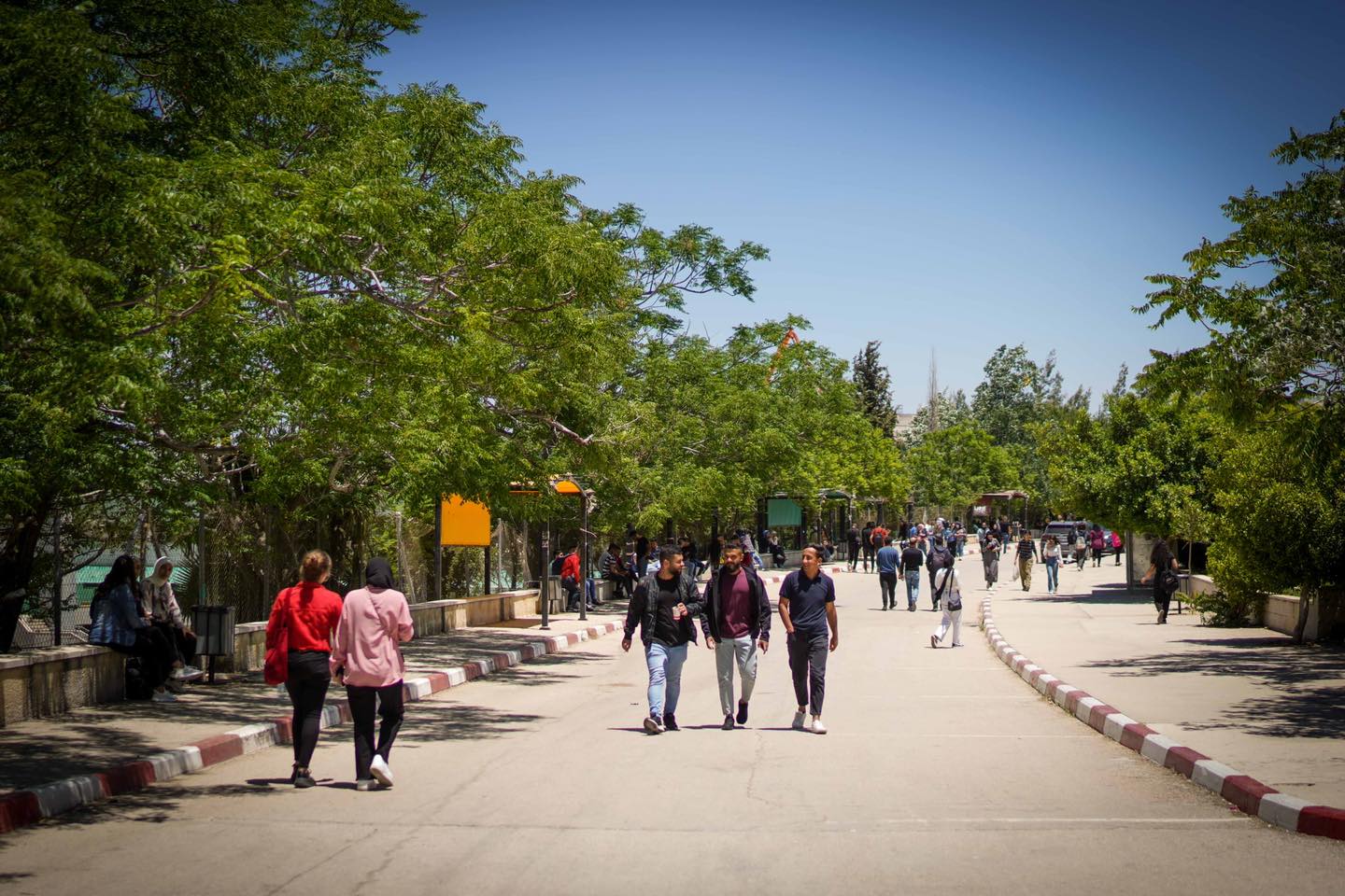 جامعة بيرزيت 