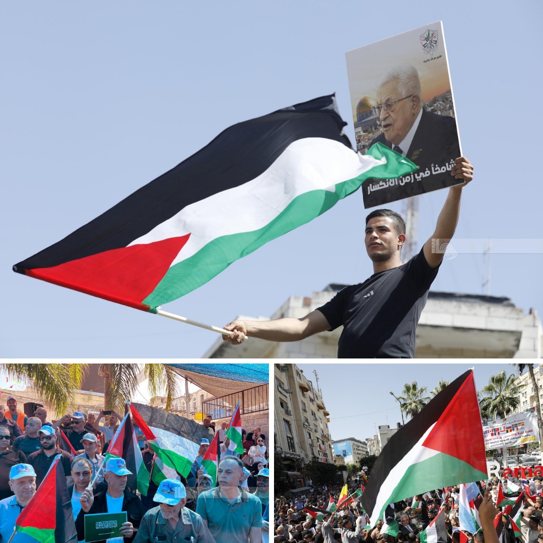 (تصوير: وفا)