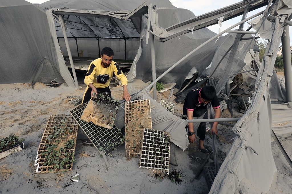 آثار الدمار الذي لحق بالمنشآت الزراعية والاقتصادية في قطاع غزة جراء قصف طيران الاحتلال-تصوير: أ ف ب