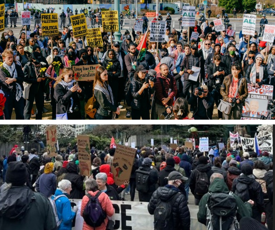 جانب من التظاهرات 