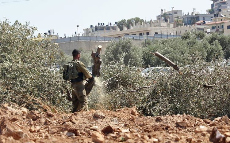 صورة ارشيفية