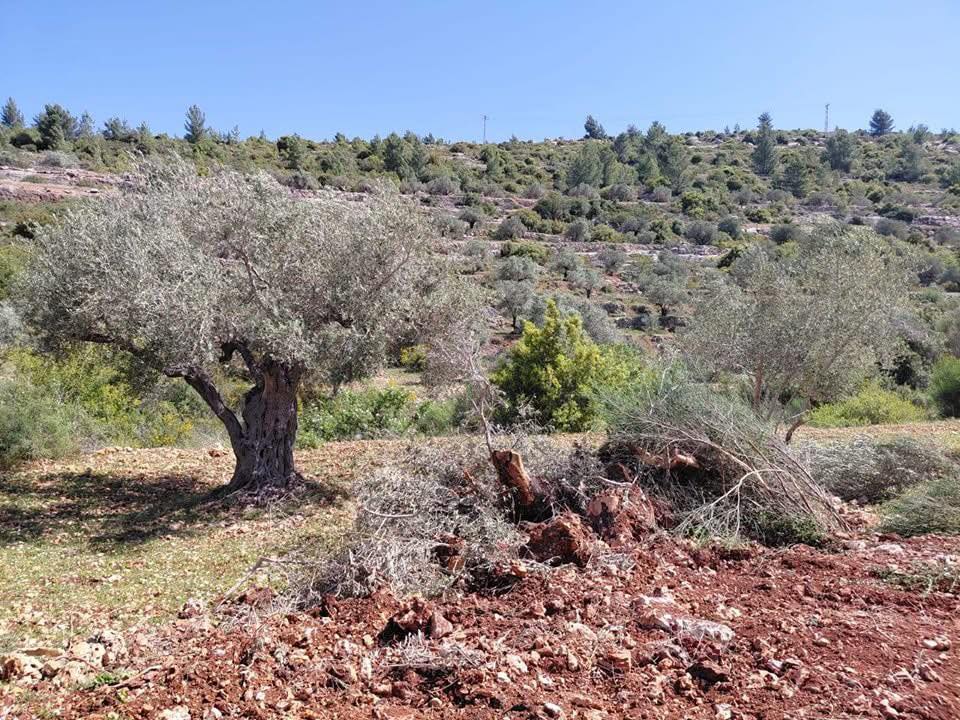 صورة ارشيفية