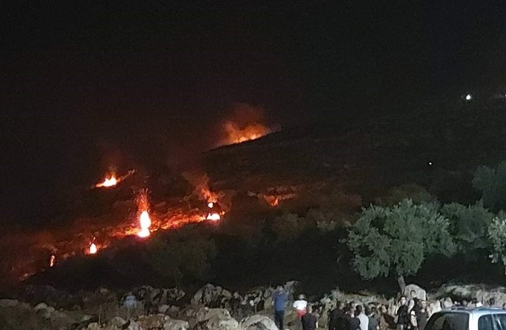 صورة أرشيفية