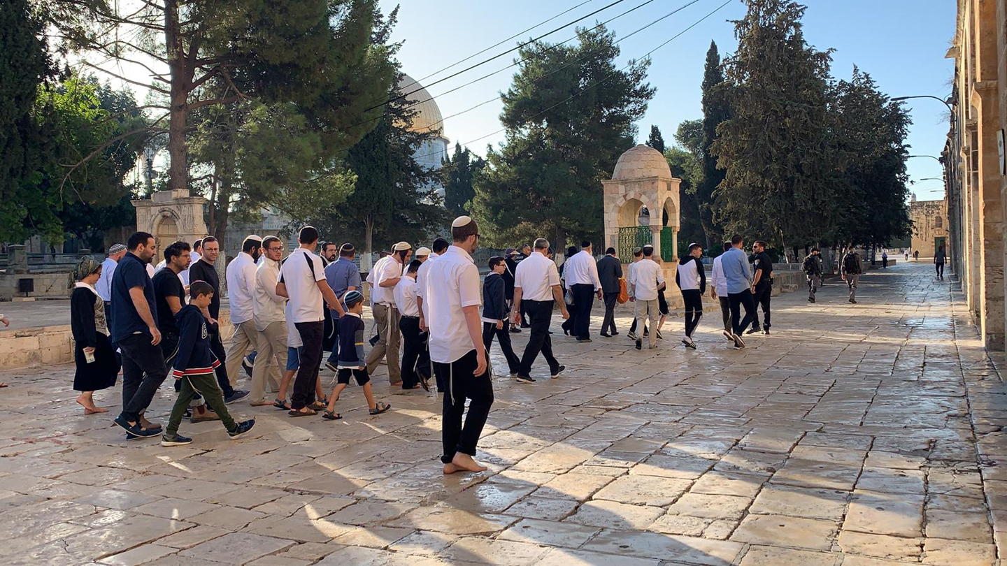 صورة أرشيفية (وفا)