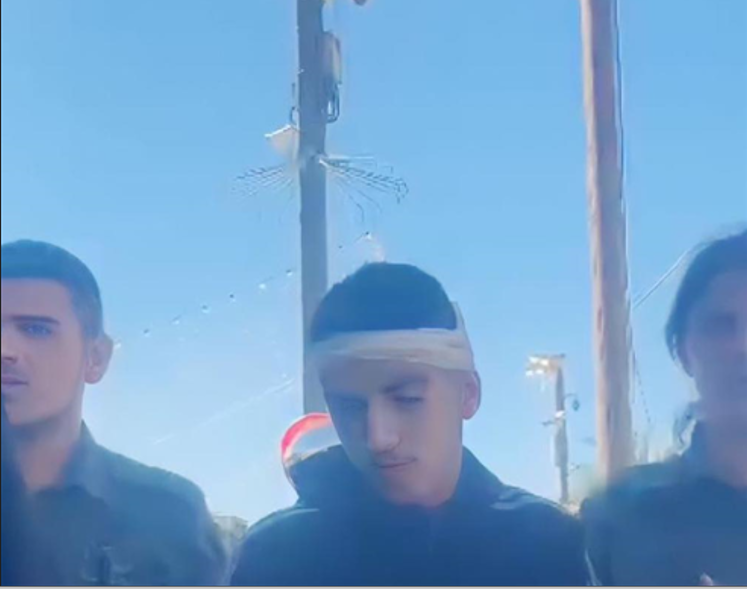 مركز معلومات وادي حلوة