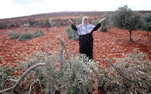 صورة أرشيفية