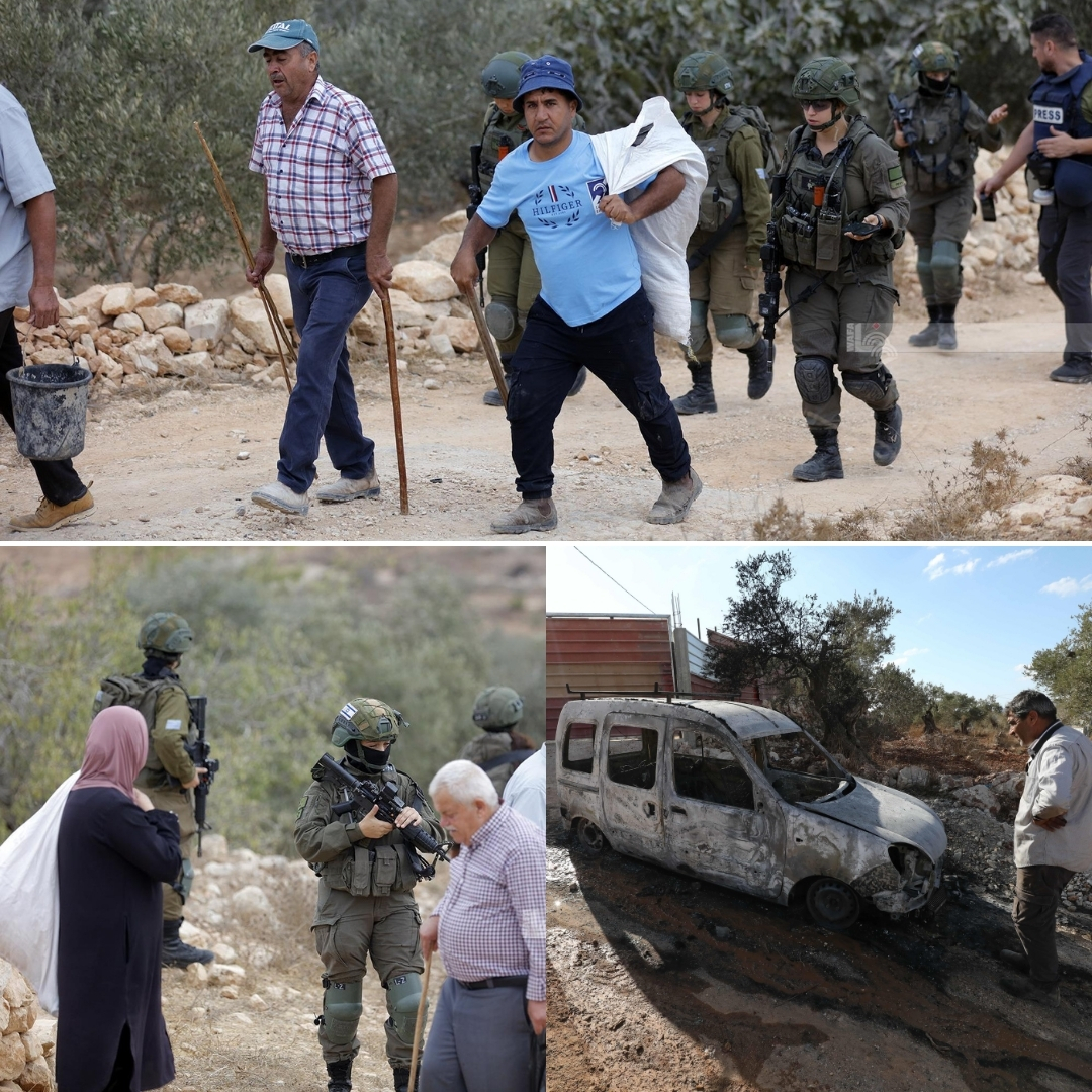 جانب من اعتداء المستعمرين وجيش الاحتلال على قاطفي الزيتون في عدة محافظات بالضفة