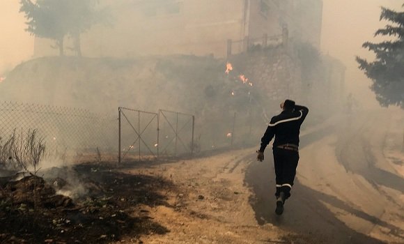 الحرائق في الجزائر-صورة عن وكالة الأنباء الجزائرية