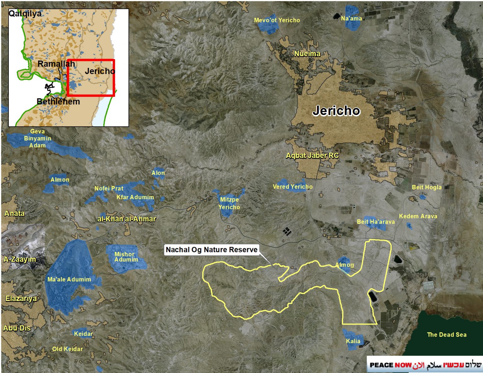 المنطقة المستهدفة محددة باللون الأصفر