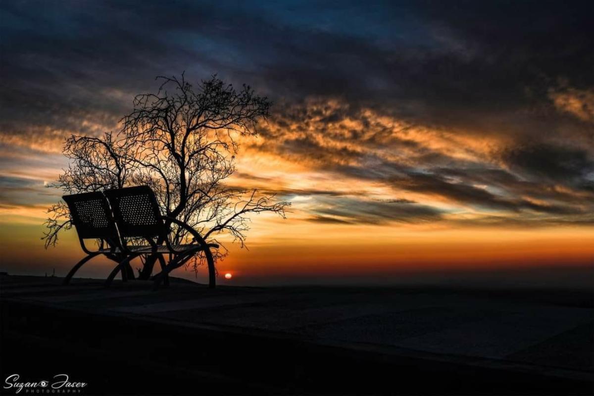 الصورة الفائزة