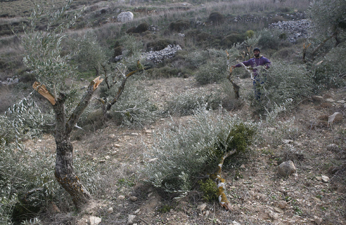 صورة أرشيفية