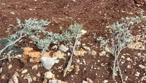 صورة أرشيفية