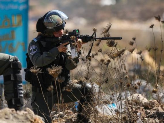 صورة أرشيفية