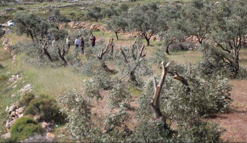 صورة أرشيفية (وفا)