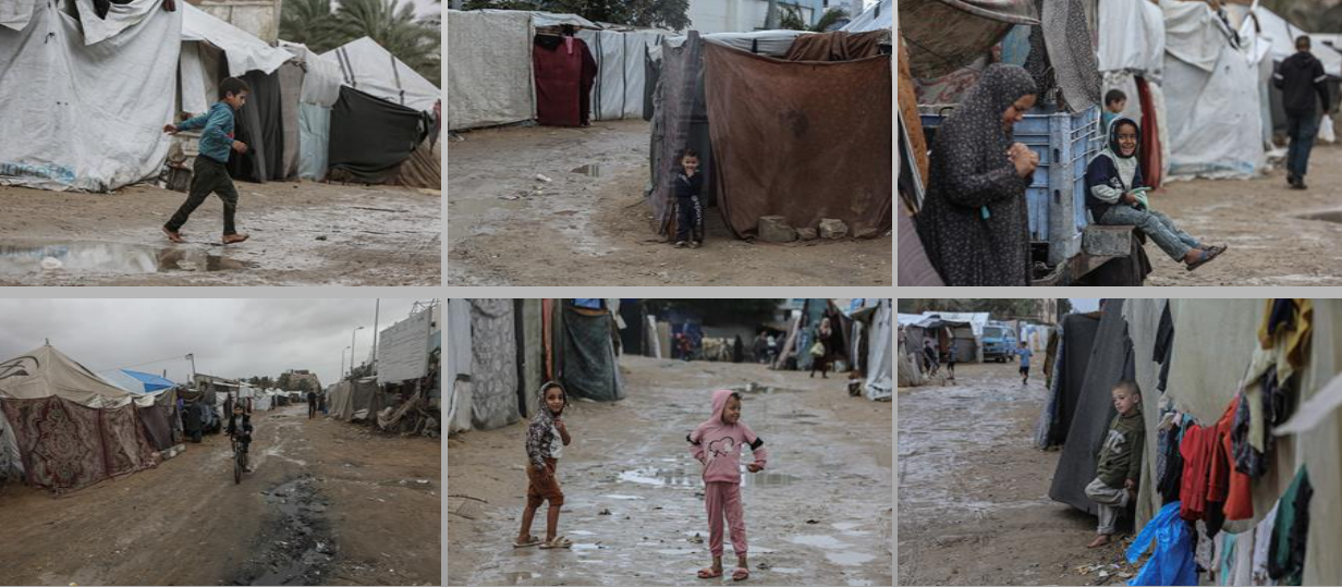 (تصوير: وفا)