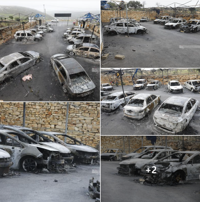 (تصوير: بهاء نصر/وفا)