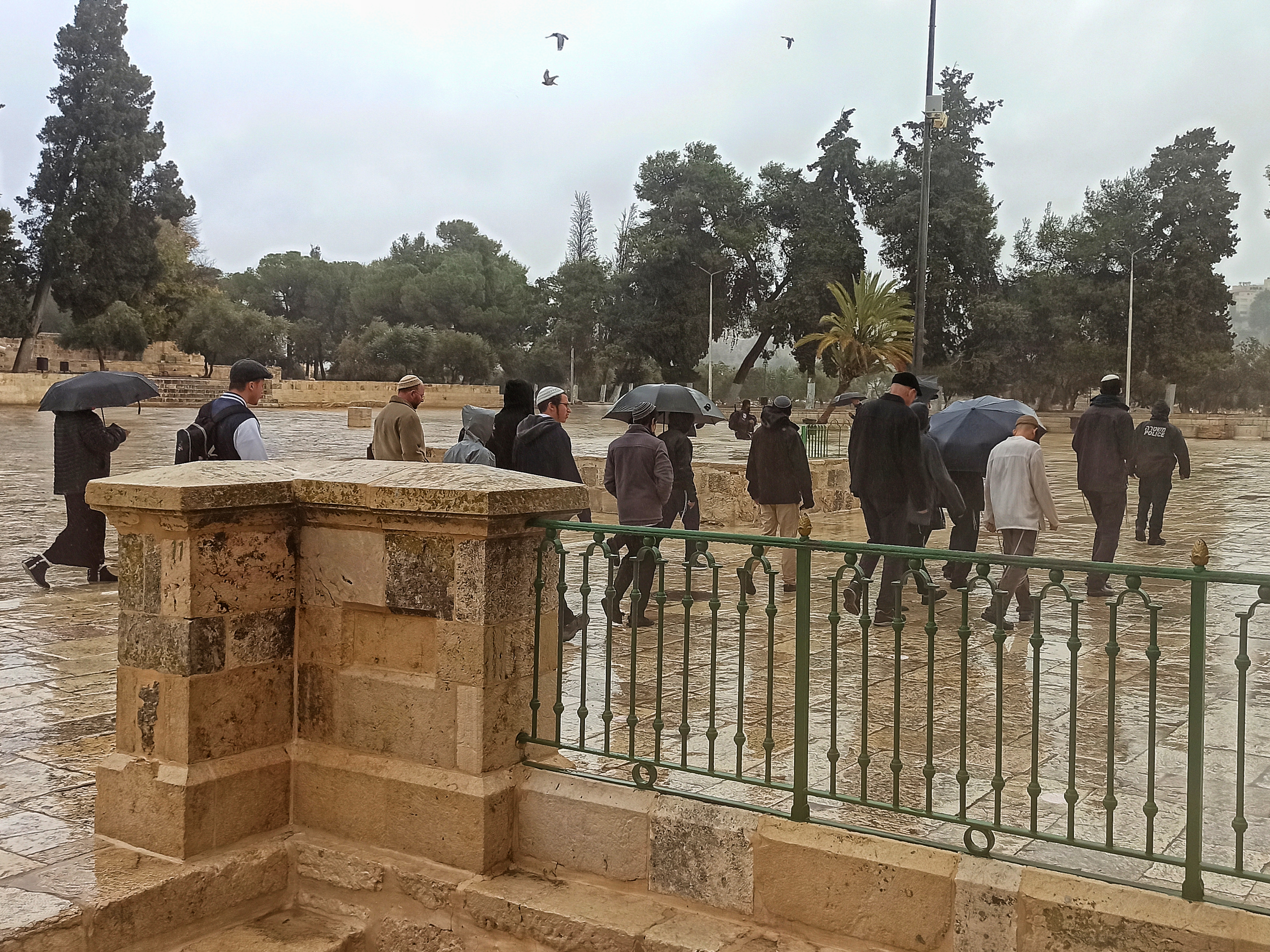 مستوطنون يقتحمون الأقصى (تصوير: وفا)