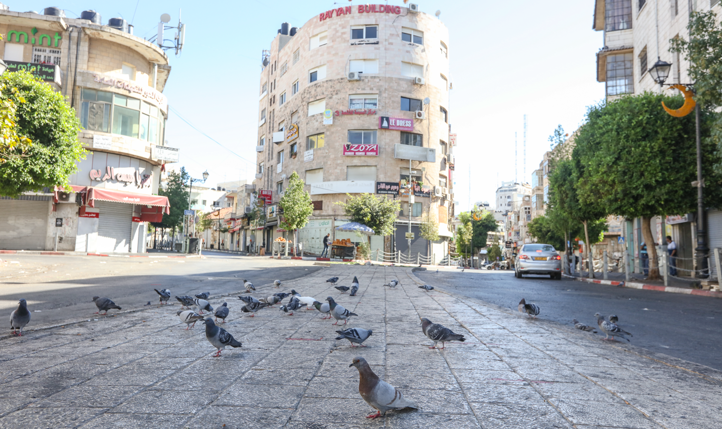 (تصوير: وفا)