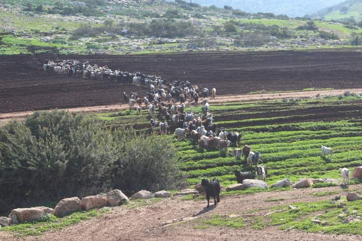 صورة أرشيفية