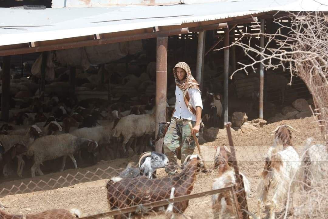 صورة أرشيفية (وفا)